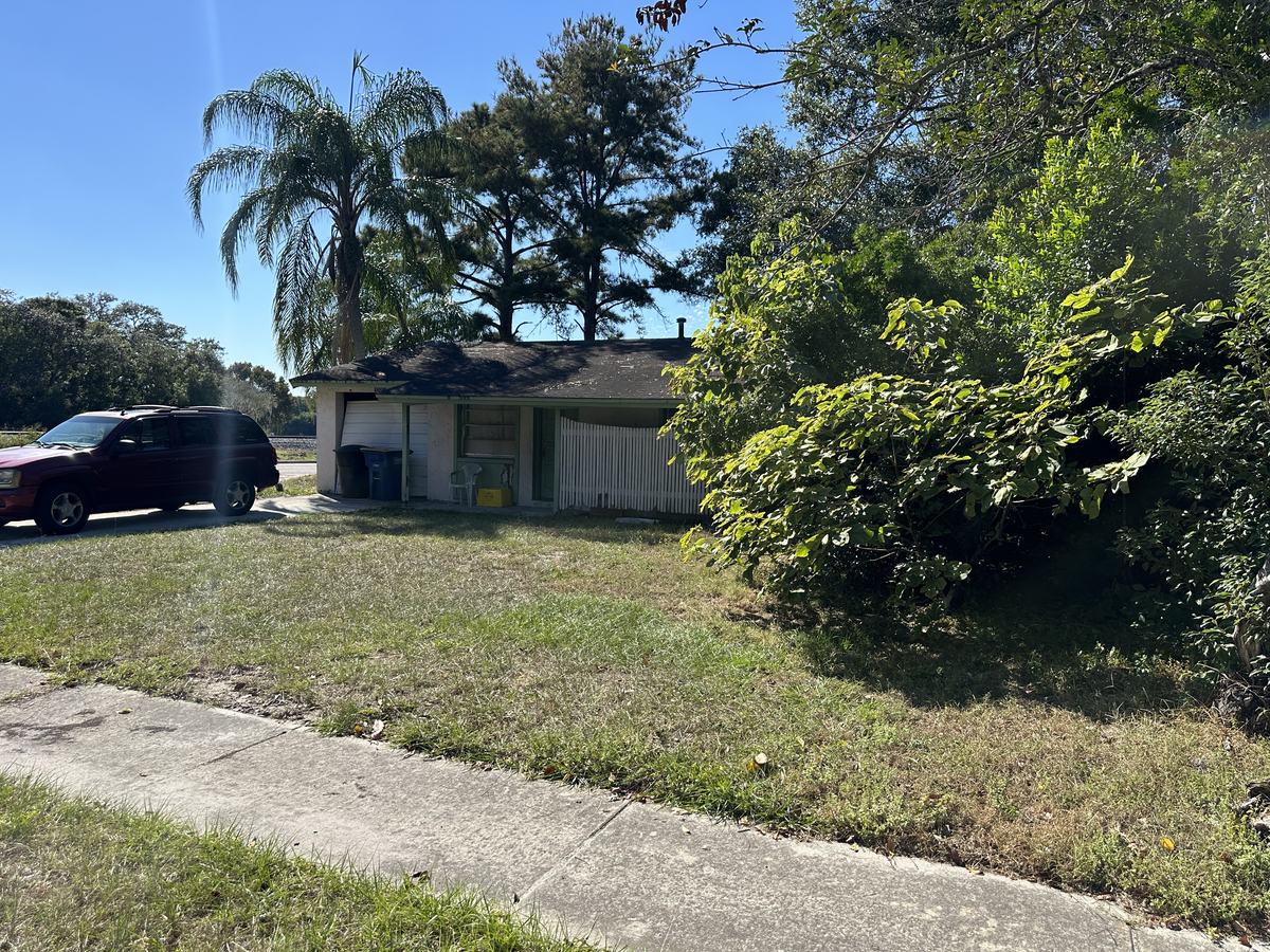 Vacant and overgrown